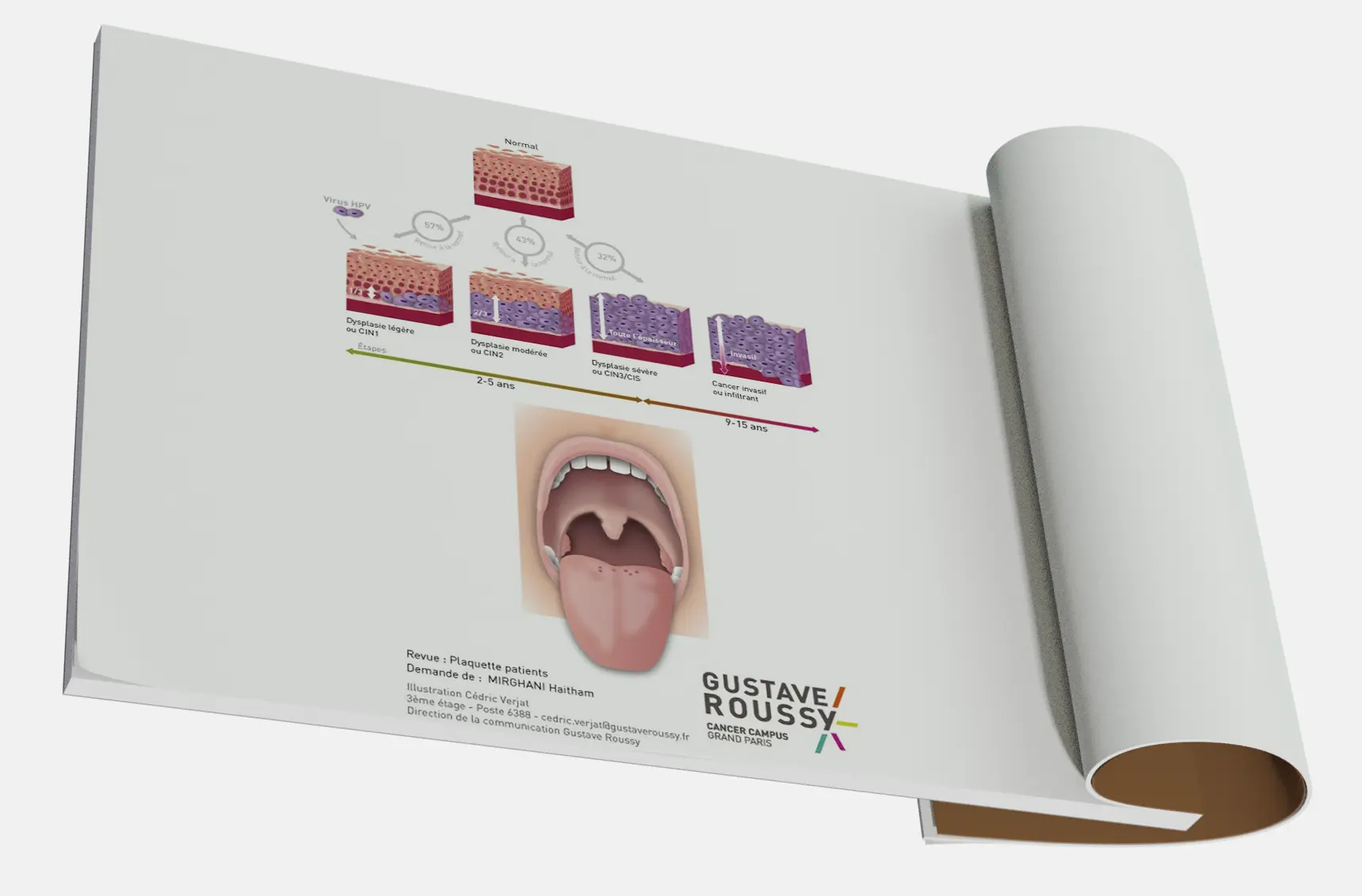 Infographie, illustration